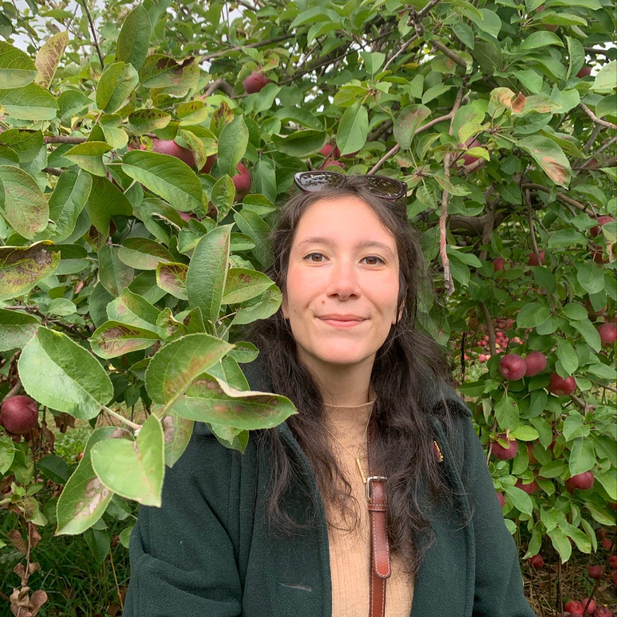 Leah Bernardo-Ciddio, FGLIF Co-Chair; Independent&nbsp;Researcher